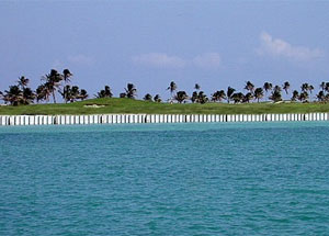 Hickcox commercial Seawalls